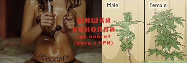 ALPHA PVP Заволжск