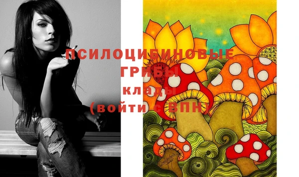 альфа пвп Заводоуковск